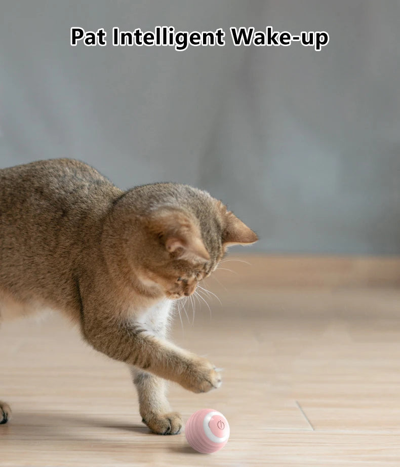 Cat Anxiety Ball