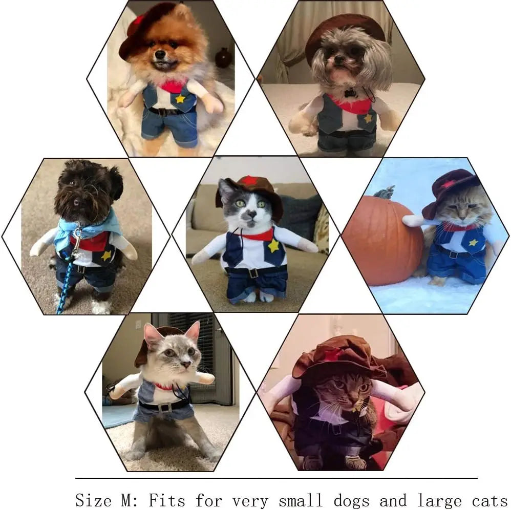Cowboy Cat Costume