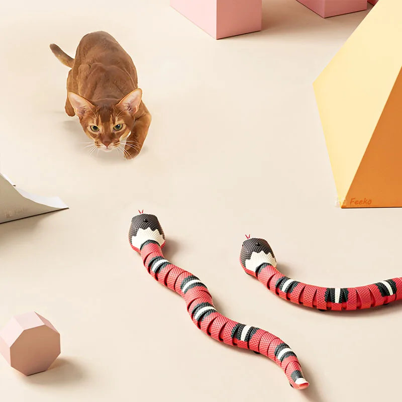 Slithering Snake
