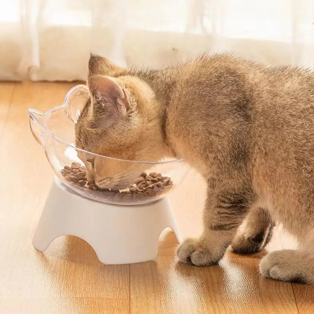Orthopedic Cat Bowl