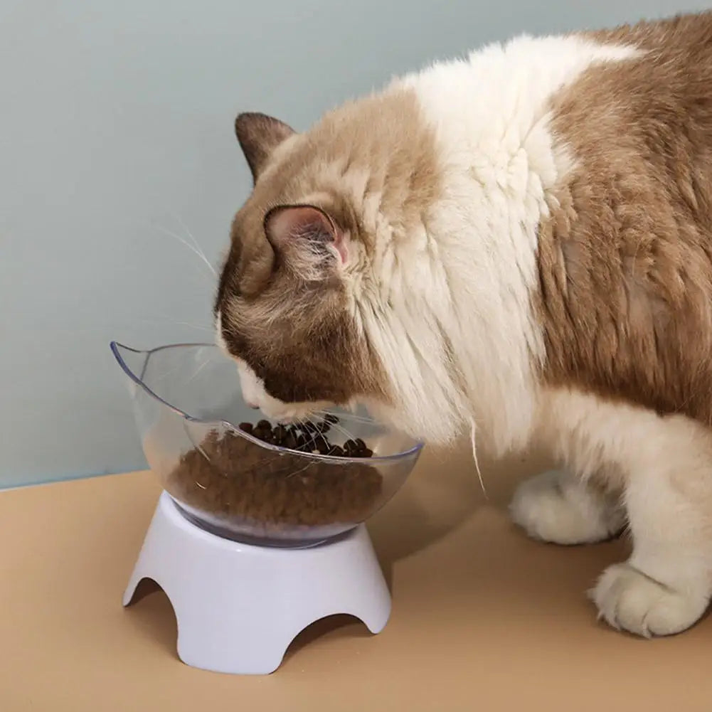 Orthopedic Cat Bowl