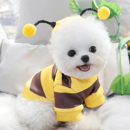 Bumble Bee Cat Costume