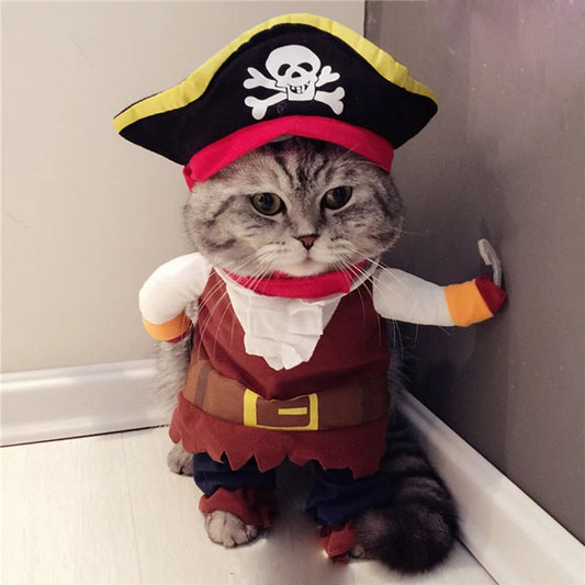 Pirate Cat Costume