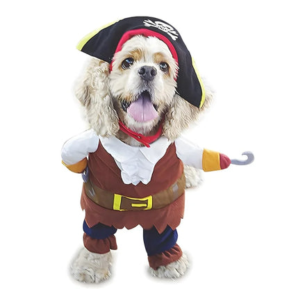 Pirate Cat Costume