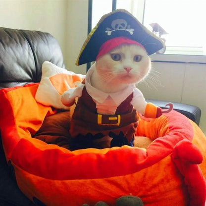 Pirate Cat Costume